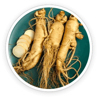 Ginseng