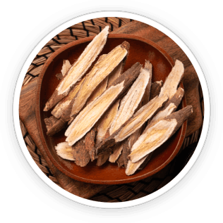 Astragalus Root